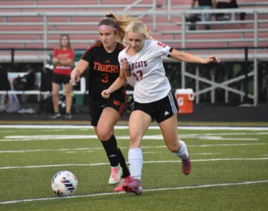 Springfield cruises to win over Struthers